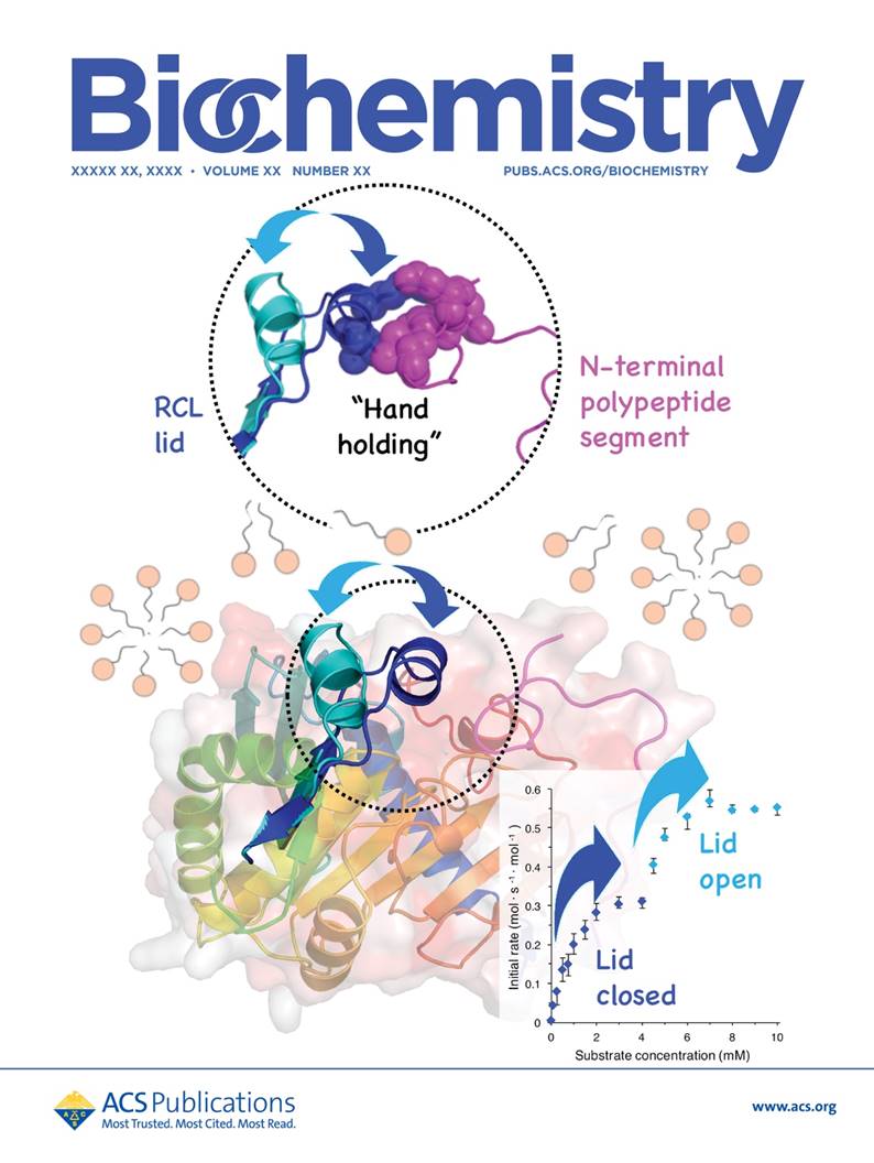 bi9b00462_alt_cover_hires.jpg
